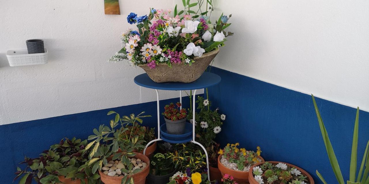 Willa Casa Na Aldeia Estremoz Zewnętrze zdjęcie